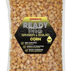 Graine Cuite Starbaits Ready Seeds Ginger Squid Corn / Mais 1KG