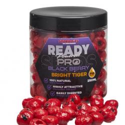 Graine Cuite Starbaits Ready Seeds Pro Bright Tiger Blackberry
