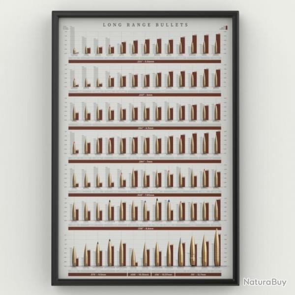 Poster / affiche Long Range Bullets