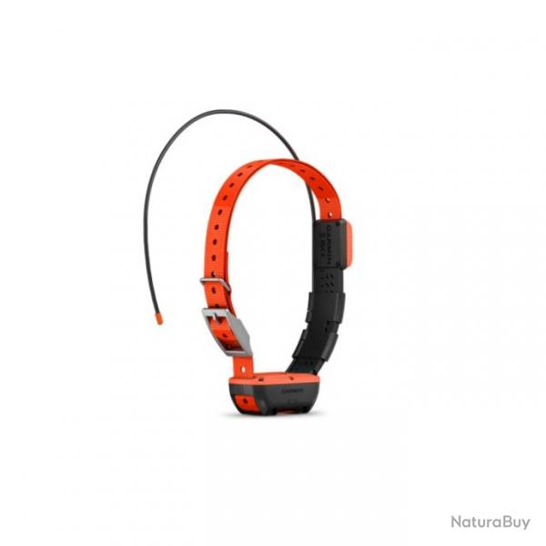 Collier de suivi et dressage Garmin Alpha T20F