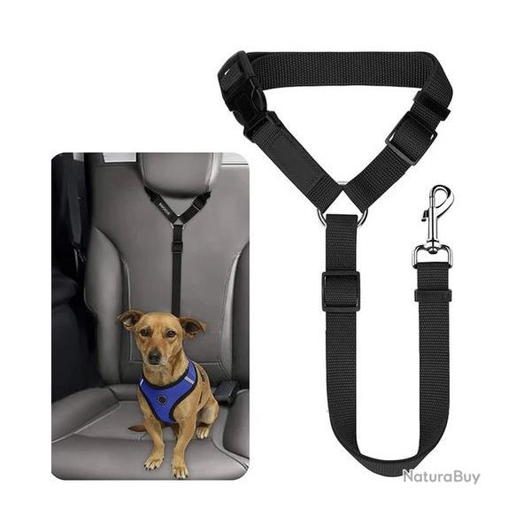 1 SANS PRIX DE RESERVE Ceinture voiture chien b