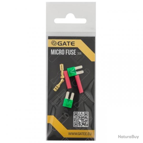 Lot de 2 micro fusibles - GATE