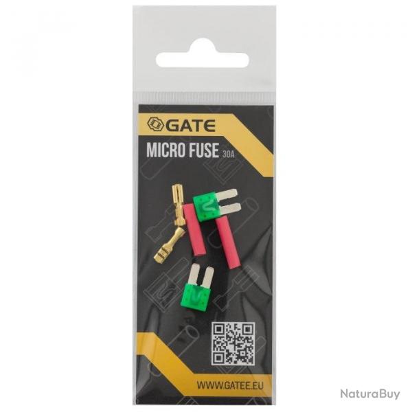 Lot de 2 micro fusibles - GATE