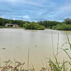 Propriété de Chasse, Pêche et Agrément 26 hectares en Brenne DF-1039-B