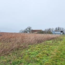 Propriété de Chasse & d'Agrément 46 hectares en Indre-et-Loire DF-301-A