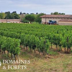 Propriété viticole, Maison et Gîte - Zone AOC Bordeaux 27 Ha DF-1009-A
