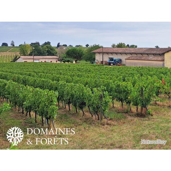 Proprit viticole, Maison et Gte - Zone AOC Bordeaux 27 Ha DF-1009-A