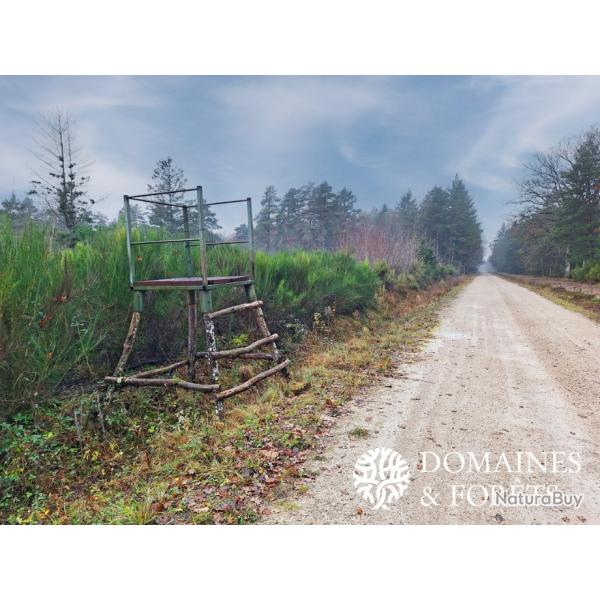 Proprit de Chasse & d'Agrment 145 hectares en Sologne DF-1024-S