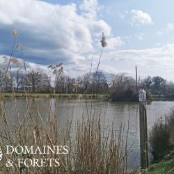 Propriété dans la Brenne au Pays des Milles Etangs 17 hectares DF-817-B