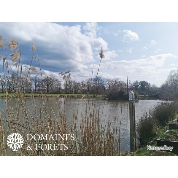 Proprit dans la Brenne au Pays des Milles Etangs 17 hectares DF-817-B