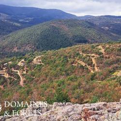 Domaine clos avec Centre de Tir et Parcours de Chasse 40 Ha dans la Loire DF-720-A