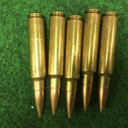5 balles 30-284 Winchester
