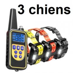 Collier de dressage 800m étanches et rechargeables 3 chiens