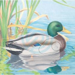 Blason JVD canard