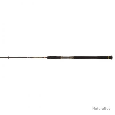 DP-24 ! Canne Penn Legion Cat Gold Spin 2.45 m - 2.45 m