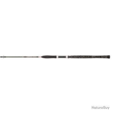 DP-24 ! Canne Penn Legion Cat Silver Spin 2.10m - 2.10m