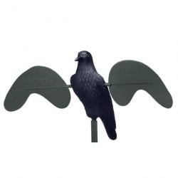 Rotor Stepland - Pigeon