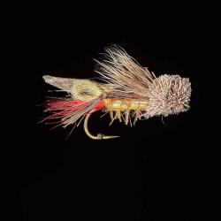 Mouche MDC Sauterelle 24 / N°10 - 2 / N°10