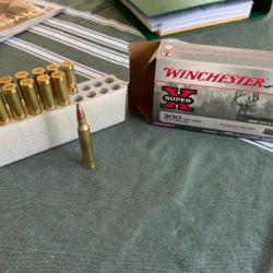 14 balles 300  winchester mag