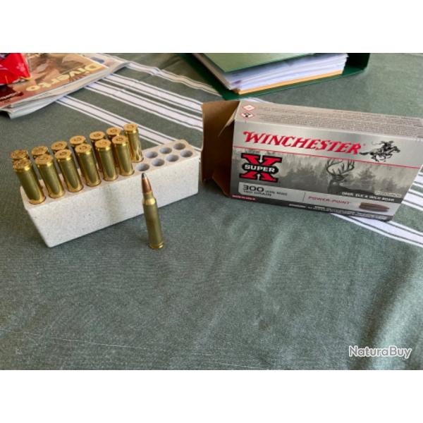 14 balles 300  winchester mag