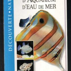 poissons d'aquarium d'eau de mer découverte nature