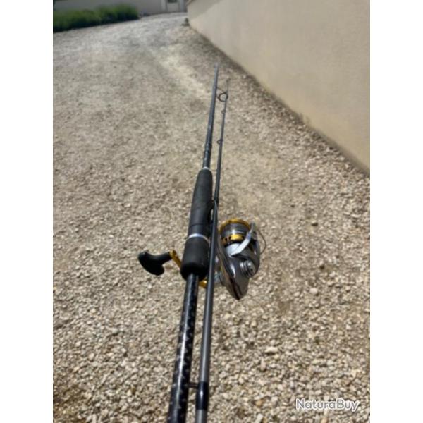 Ensemble canne spinning carnassier