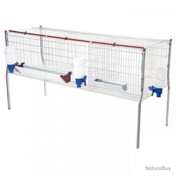 Cage d'engraissement pour poulets 3 compartiments