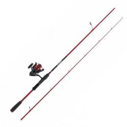 COMBO PENN FIERCE IV LABRAX 212 10-30G - 2500