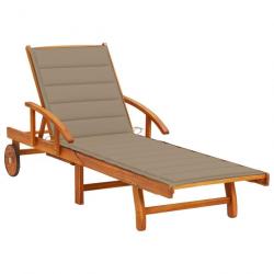 Transat chaise longue bain de soleil lit de jardin terrasse meuble d'extérieur avec coussin bois d'