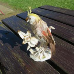 Ancien figurine de perroquet branché en porcelaine avec ornementation de vraies plumes - JAPON