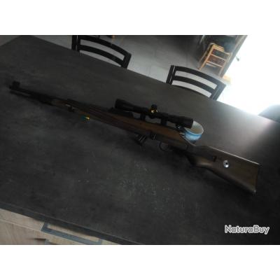 Norinco JW25A - Carabines 22LR (11943747)