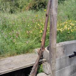 ancien fusil chasse a bourre tête de sanglier sculptée sur la crosse dans son jus sorti de grenier