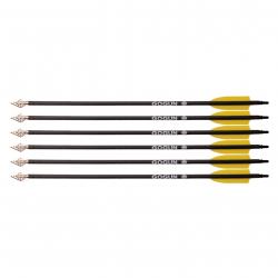 Flèches de chasse pour arc Whipshot
