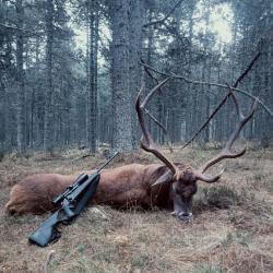 Séjour de chasse en France