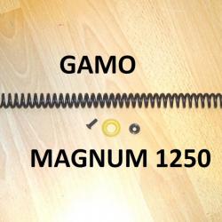 kit compression carabine GAMO MAGNUM 1250 - VENDU PAR JEPERCUTE (b13560)