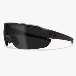 Lunettes Edge Tactical Arc Light Monture noire - Fumé G-15