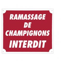 Panneau ''Ramassage de champignons interdit'' 30 x 25 cm Aluminium