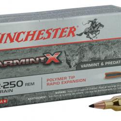 Munition grande chasse Winchester Cal. 22-250 REM Balle pointe plastique