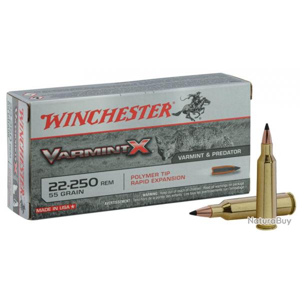 Munition grande chasse Winchester Cal. 22-250 REM Balle pointe plastique