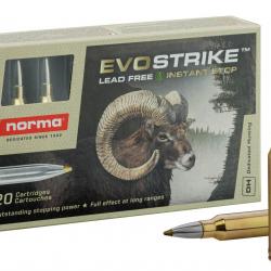 Norma Cal. 300 win Cal.300 WIN type ORYX