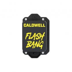 DETECTEUR D'IMPACT SUR CIBLE FLASH BANG AR500 CALDWELL hit indicateur indicator