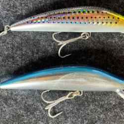 Lot de 2 Leurres BKS 9 cm Tackle House