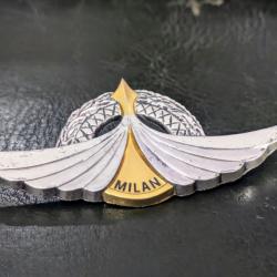 O gros pins pin's insigne militaire brevet tireur de missile antichar Milan nato arthus bertrand Tre