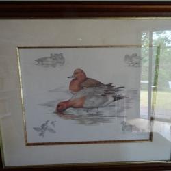 Belle Lithographie , Couple de CANARDS , signé NIGEL HEMMING