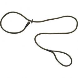 Laisse Lasso Roc Import Orange - Marron