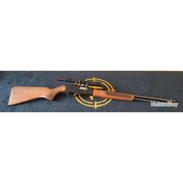 Winchester model 190 22lr semi-auto cat B Port compris