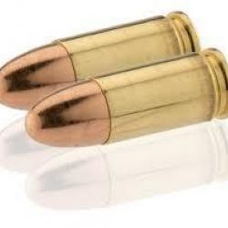 Munitions NORMA catégorie B 9mm Luger  (lot de 10)