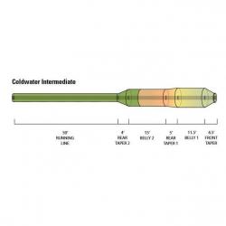 Soie Orvis Hydros Coldwater Intermediate Wf WF6F