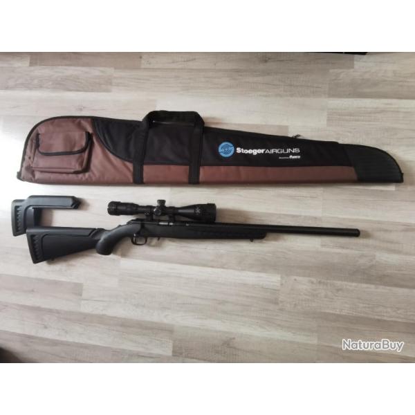 Ruger american rimfire