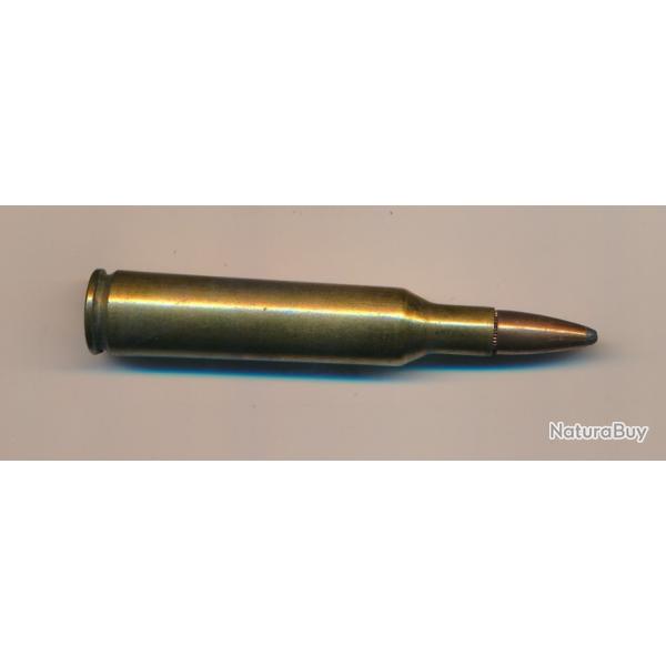 (13793) UNE CARTOUCHE 6mm Rem par remington